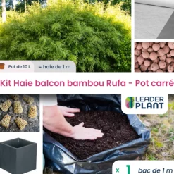 Leaderplant - Kit bambou rufa 10l avec bac pour balcon Outlet