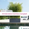 Leaderplant - Kit brise-vue balcon bambou campbell 10 l Sale
