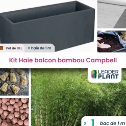 Leaderplant - Kit brise-vue balcon bambou campbell 10 l Sale