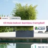 Leaderplant - Kit brise-vue balcon bambou campbell 5 l Hot