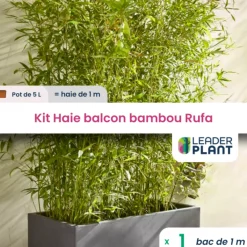 Leaderplant - Kit brise-vue balcon bambou rufa 5 l Outlet