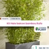 Leaderplant - Kit brise-vue balcon bambou rufa 10 l Sale