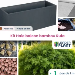 Leaderplant - Kit brise-vue balcon bambou rufa 10 l Sale