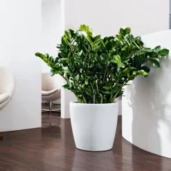 Lechuza - Pot Classico Color en polypropylène, blanc D35 x H. 33 cm Clearance