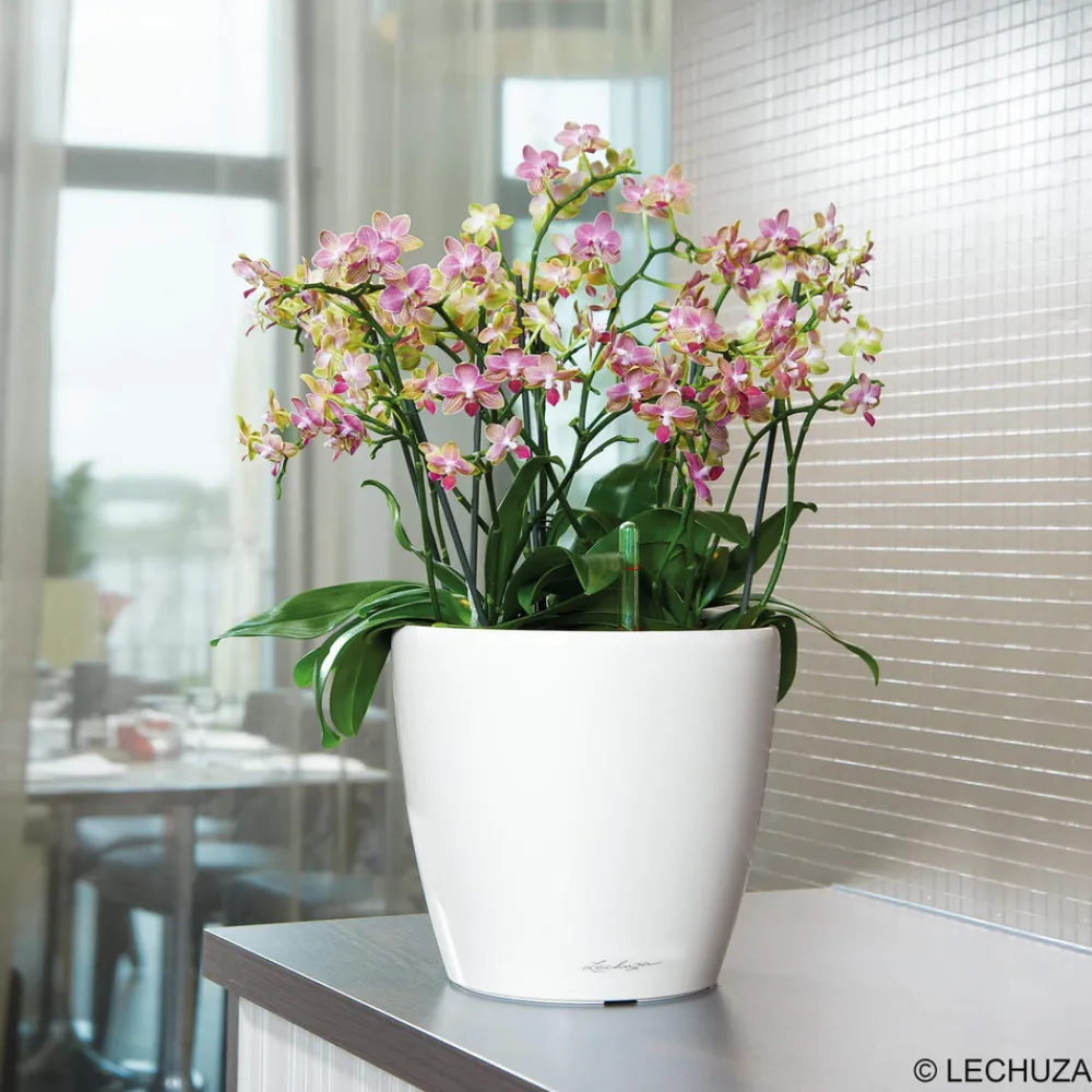 Lechuza - Pot Classico Premium, coloris blanc D.35cm New