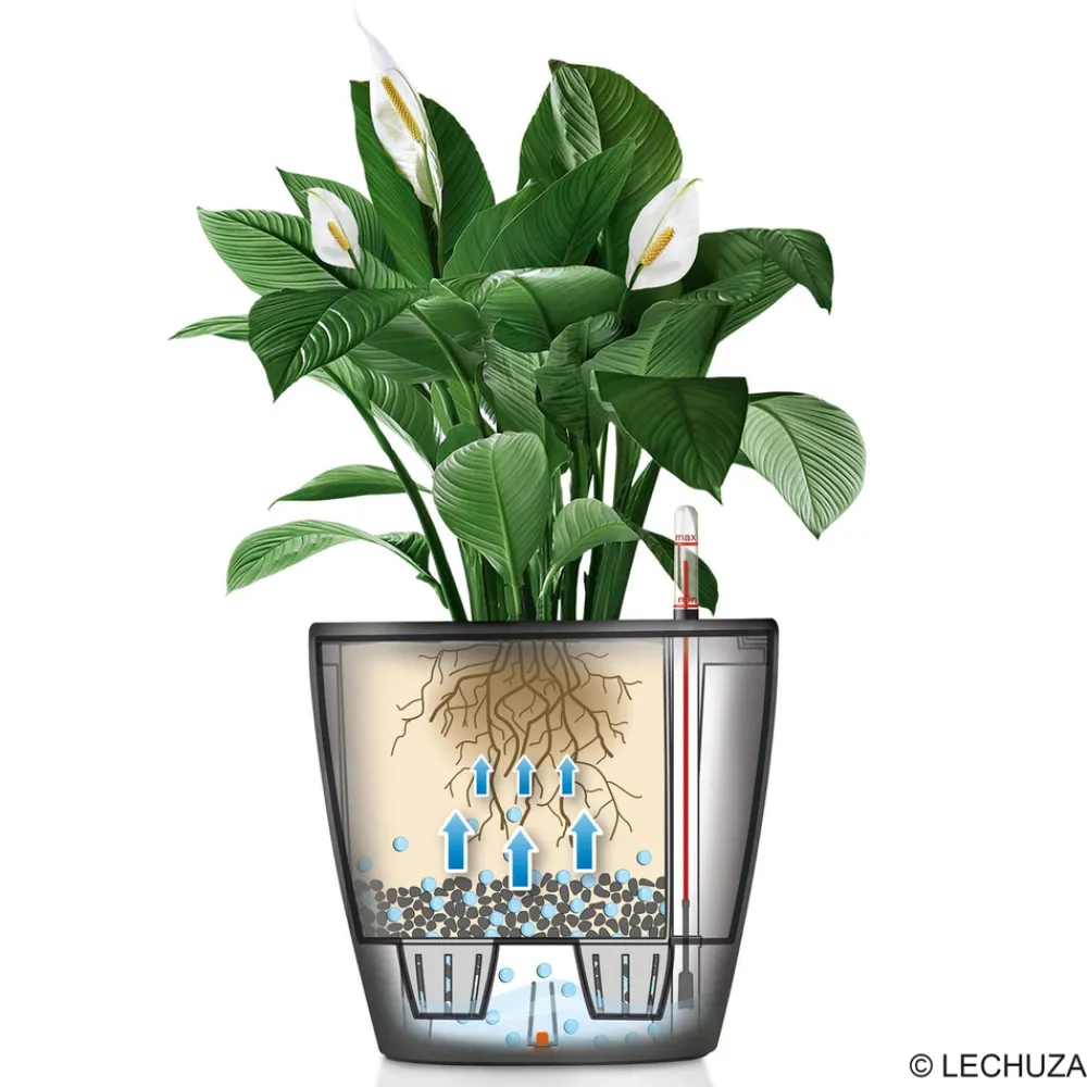 Lechuza - Pot Classico Premium, coloris blanc D.35cm New
