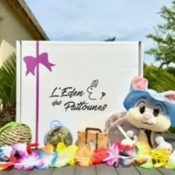 L'Eden des Pattounes - Box des vacances Sale