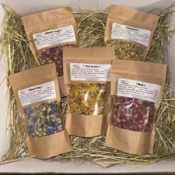 L'Eden des Pattounes - Box fleurs Sale