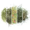 L'Eden des Pattounes - Box foins Outlet