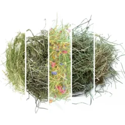 L'Eden des Pattounes - Box foins Outlet