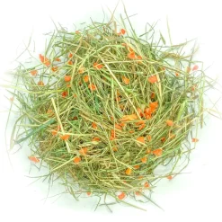 L'Eden des Pattounes - Foin aromatisé à la carotte pour lapins et rongeurs Online