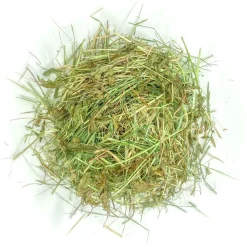 L'Eden des Pattounes Alimentation | - Foin aromatisé à la coriandre pour lapins et rongeurs
