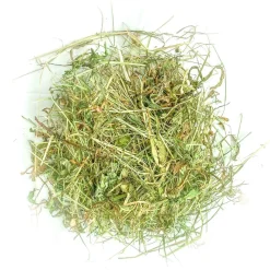 L'Eden des Pattounes Alimentation | - Foin aromatisé au céleri rave pour lapins et rongeurs