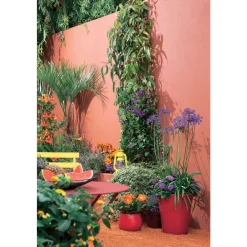 NA Lierre : pot D.13cm Outlet