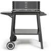 Livoo - barbecue à charbon 48.5 x 28.8cm - doc328 Clearance