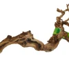 Lucky Reptile Décoration Et Substrats | - Bois de vigne - grapevine - medium 40-70 cm - décoration pour terrarium destiné aux reptiles (lézards, serpents, tortues), amphi