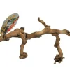 Lucky Reptile Décoration Et Substrats | - Bois de vigne - grapevine - small 30-40 cm - décoration pour terrarium destiné aux reptiles (lézards, serpents, tortues), amphib