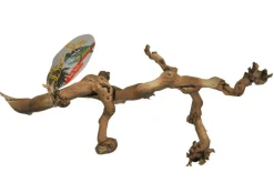 Lucky Reptile Décoration Et Substrats | - Bois de vigne - grapevine - small 30-40 cm - décoration pour terrarium destiné aux reptiles (lézards, serpents, tortues), amphib