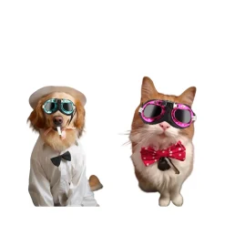 NA Colliers, Laisses Et Vêtements | Lunettes de soleil pour animaux mcboson, monture rose, verres gris