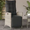 Maison Exclusive Tables Et Chaises De Jardin | - Chaise inclinable de jardin avec repose-pied gris clair rotin