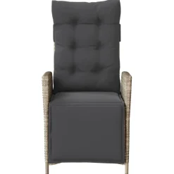 Maison Exclusive Tables Et Chaises De Jardin | - Chaise inclinable de jardin avec repose-pied gris clair rotin