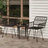Maison Exclusive Tables Et Chaises De Jardin | - Chaises de jardin lot de 2 avec accoudoir noir 56x64x80 cm