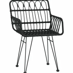 Maison Exclusive Tables Et Chaises De Jardin | - Chaises de jardin lot de 2 avec accoudoir noir 56x64x80 cm