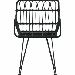 Maison Exclusive Tables Et Chaises De Jardin | - Chaises de jardin lot de 2 avec accoudoir noir 56x64x80 cm