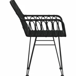 Maison Exclusive Tables Et Chaises De Jardin | - Chaises de jardin lot de 2 avec accoudoir noir 56x64x80 cm
