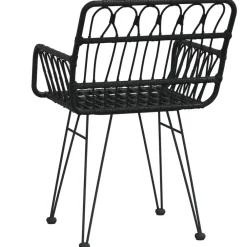 Maison Exclusive Tables Et Chaises De Jardin | - Chaises de jardin lot de 2 avec accoudoir noir 56x64x80 cm