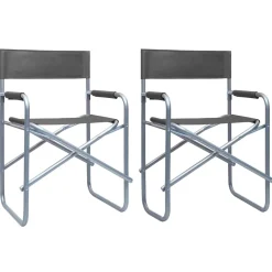 Maison Exclusive Tables Et Chaises De Jardin | - Chaises de metteur en scène lot de 2 acier gris