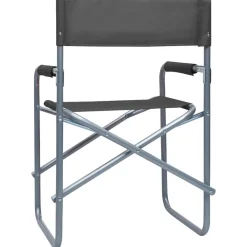 Maison Exclusive Tables Et Chaises De Jardin | - Chaises de metteur en scène lot de 2 acier gris