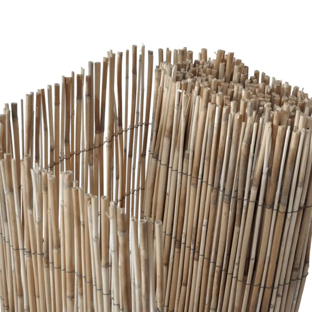 Maison Exclusive - Clôture de jardin 500x80 cm roseau Sale