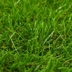 Maison Exclusive - Gazon artificiel 1x8 m/30 mm vert Best