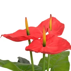 Maison Exclusive - Plante artificielle avec pot anthurium 90 cm rouge et jaune Online
