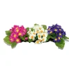 Marichal Fleurs Et Plantes Artificielles | - Bouquet de primeveres en coloris assortis, soie, H20Cm - L20Cm, 0,1Kg