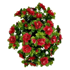Marichal - Coupe de 11 azalée rouge, H37Cm - L44Cm, 3,5Kg Online