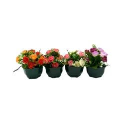 Marichal - Coupe de mini roses assorties, 17xH20cm (1kg) Outlet