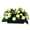 Marichal Fleurs Et Plantes Artificielles | - Jardinière 40Cm de 48 chrysantheme crème , H35CM - L50Cm, 5Kg
