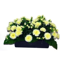 Marichal Fleurs Et Plantes Artificielles | - Jardinière 40Cm de 48 chrysantheme crème , H35CM - L50Cm, 5Kg