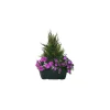 Marichal - Jardinière de cyprès/œillets/mini roses assortis, 25xH40cm (1,5kg) Discount