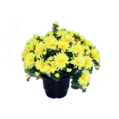 Marichal - Pot de chrysantheme pomponette jaune , H32CM - L36Cm, 2Kg Hot
