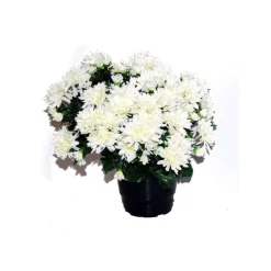 Marichal Fleurs Et Plantes Artificielles | - Pot de chrysantheme pomponette crème , H32CM - L36Cm, 2Kg