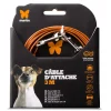 Martin Sellier Education | - Câble d'attache pour petits chats et chiens - 3m