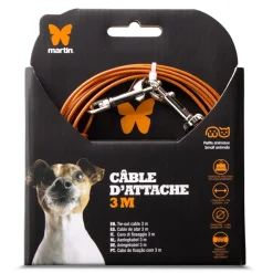 Martin Sellier Education | - Câble d'attache pour petits chats et chiens - 3m