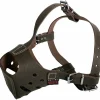 Martin Sellier - Muselière pour chiens en cuir ultime pour amstaff & rottweile Hot