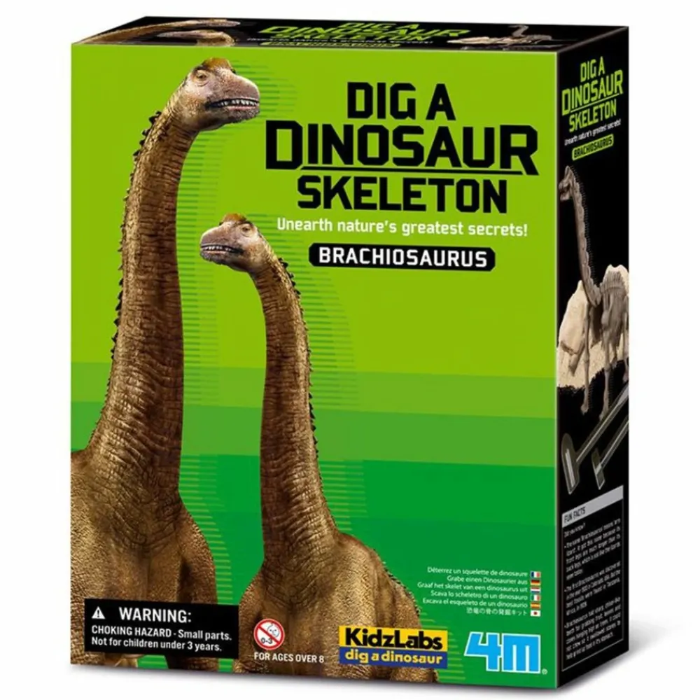 4m - Coffret découverte de la science - déterre ton brachiosaure Online