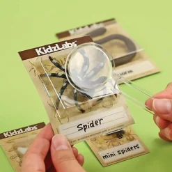 4m Enfants | - Découverte de la science - kit des insectes rampants