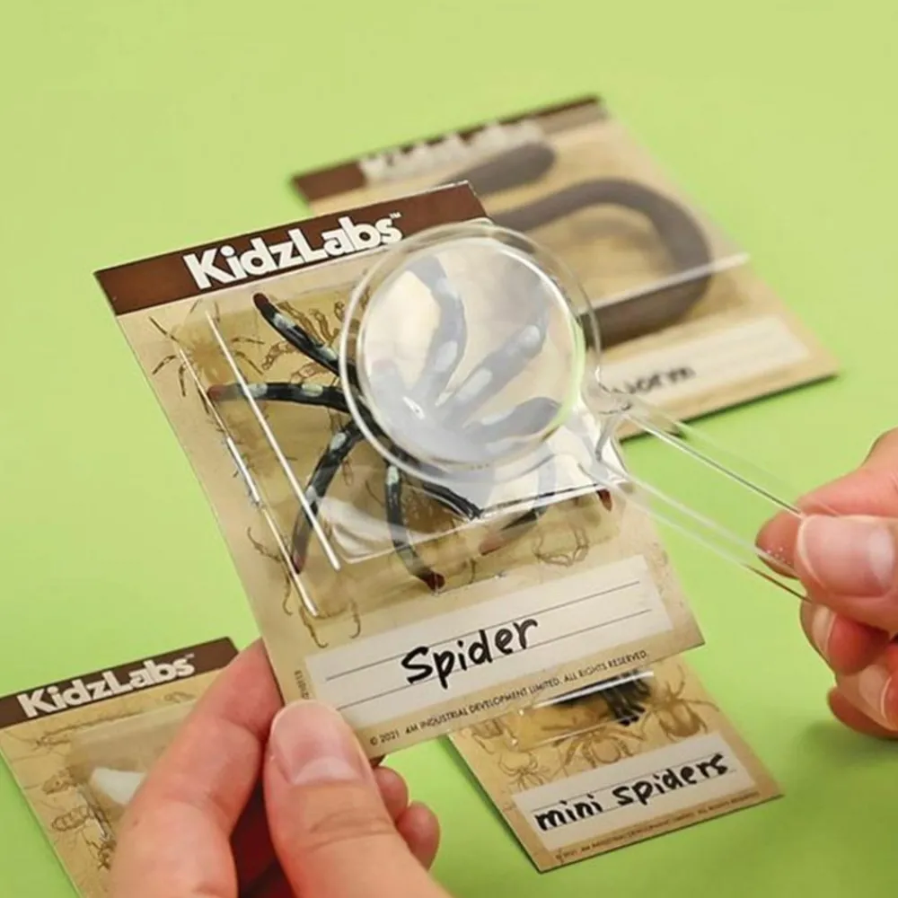 4m Enfants | - Découverte de la science - kit des insectes rampants