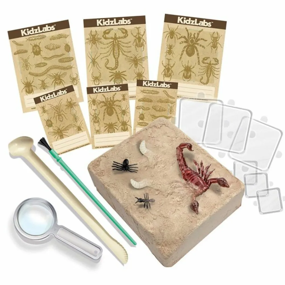 4m Enfants | - Découverte de la science - kit des insectes rampants